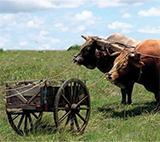 image-1-(web)-Dec-19-2024-10-09-03-8188-AM